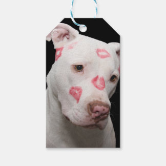 Etiqueta Para Presente Lover Pitbull Editável