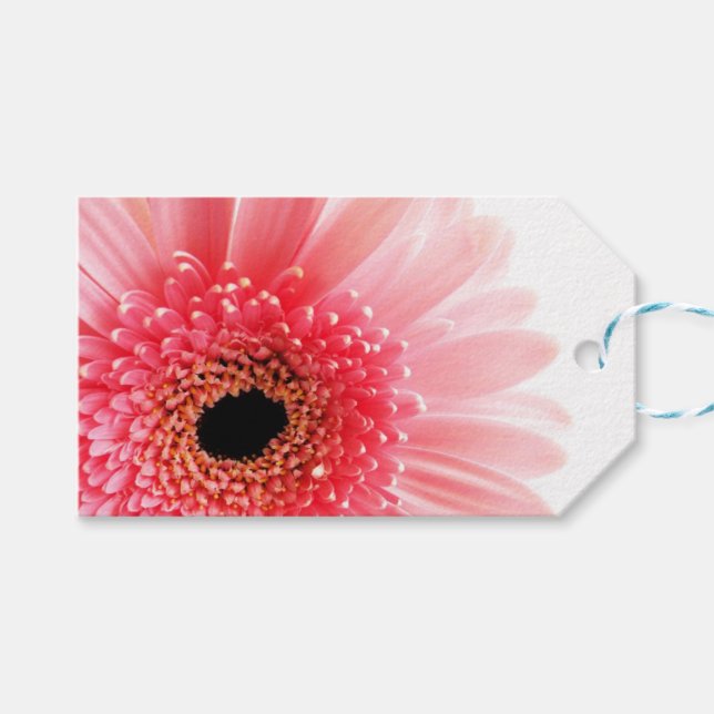 Etiqueta Para Presente Margarida Gerbera (Frente (horizontal))