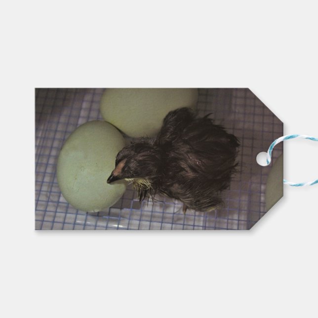 Etiqueta Para Presente Minutos velhos (Frente (horizontal))