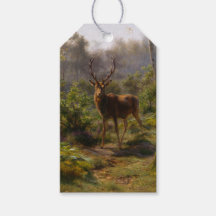 Morcego selvagem (Homem-Vivo) na floresta