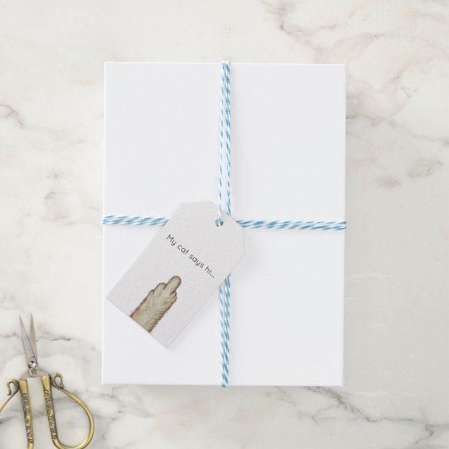 Etiqueta Para Presente My Cat Says Hi... (Com cordão)