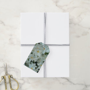 Etiqueta Para Presente Narciso Branco Delicado de Paperwhite Flores