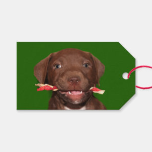 Etiqueta Para Presente Natal bonito do filhote de cachorro