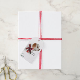 Etiqueta Para Presente Natal do Clumber Spaniel