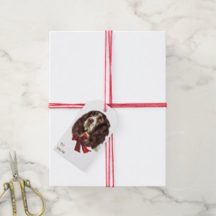 Etiqueta Para Presente Natal Inglês do Springer Spaniel