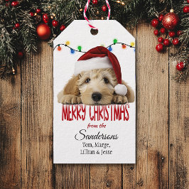 Etiqueta Para Presente Natalina Goldendoodle fofo no Natal