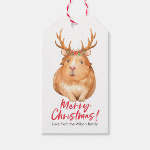Etiqueta Para Presente O presente do Natal etiqueta o hamster bonito