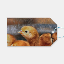 Etiqueta Para Presente Olhar