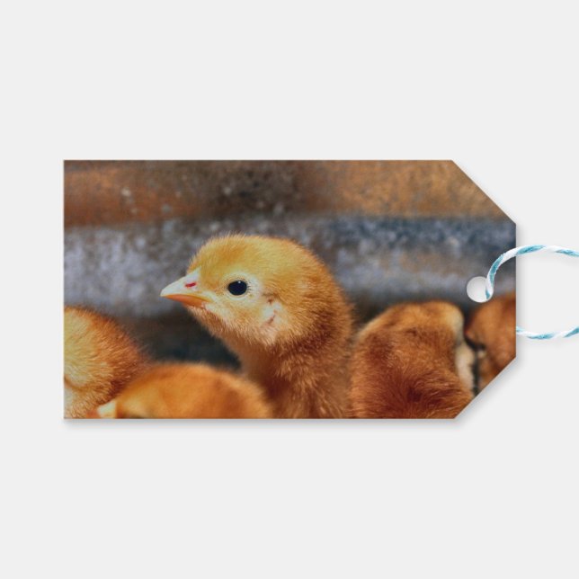 Etiqueta Para Presente Olhar (Frente (horizontal))