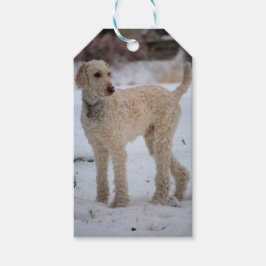 Etiqueta Para Presente Ollie