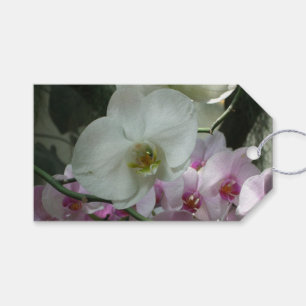 Etiqueta Para Presente Orquídeas brancas e roxas