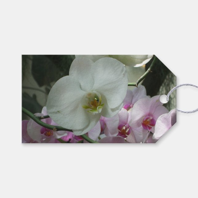 Etiqueta Para Presente Orquídeas brancas e roxas (Frente (horizontal))