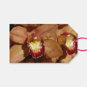 Etiqueta Para Presente Orquídeas de Pêssego com Raindroits Floral