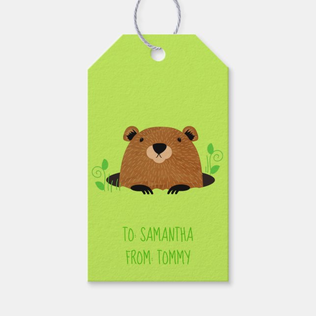 Etiqueta Para Presente Padrão Adorável de Groundhog Woodland (Frente)