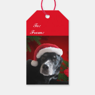 Etiqueta Para Presente Papai noel Dog-Lab/Rottweiler com fundo do feriado