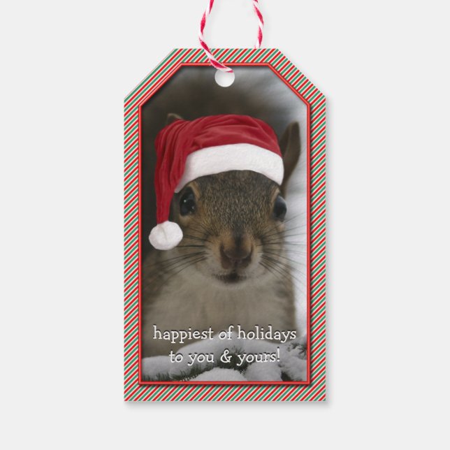 Etiqueta Para Presente Papais noeis Divertidos Esquilo Vestindo Santa Hat (Verso)