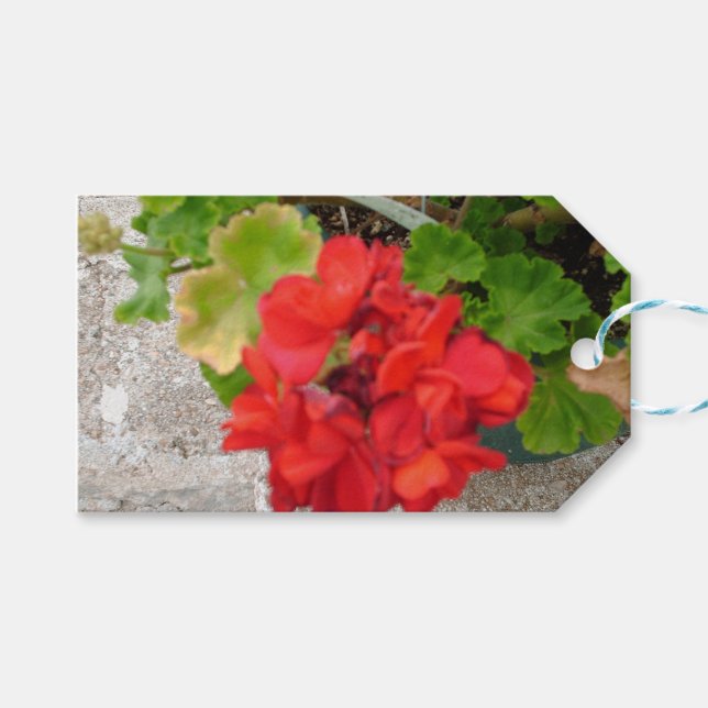 Etiqueta Para Presente papel de seda de flor vermelha (Frente (horizontal))