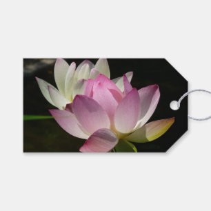 Etiqueta Para Presente Par de Flores de Lotus II