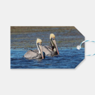 Etiqueta Para Presente Par de Pelicanos