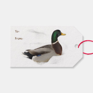 Etiqueta Para Presente Pato no bloco da neve de Tag do presente