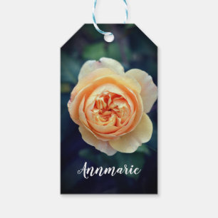 Etiqueta Para Presente Peachy Orange Garden Rosa Flor Feliz Aniversário