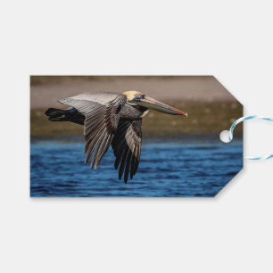 Etiqueta Para Presente Pelicano em voo