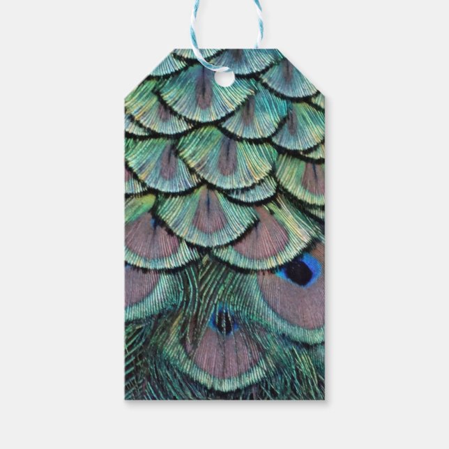 Etiqueta Para Presente penas de pavão (Frente)