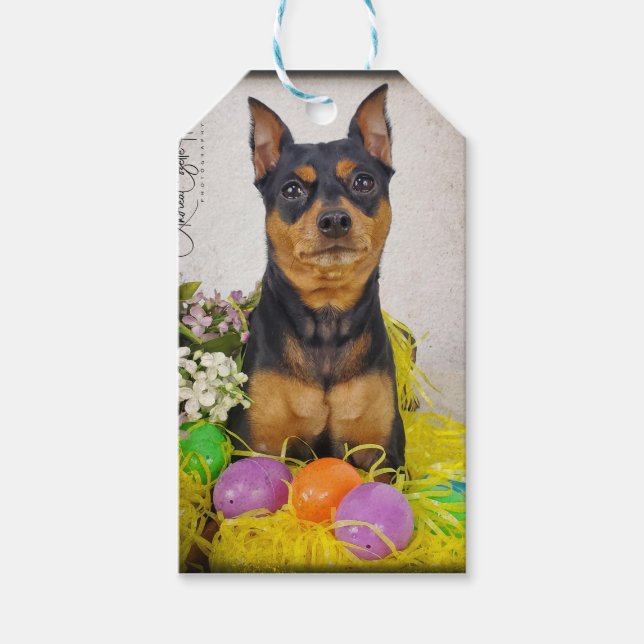 Etiqueta Para Presente Pequinês de Páscoa (Frente)