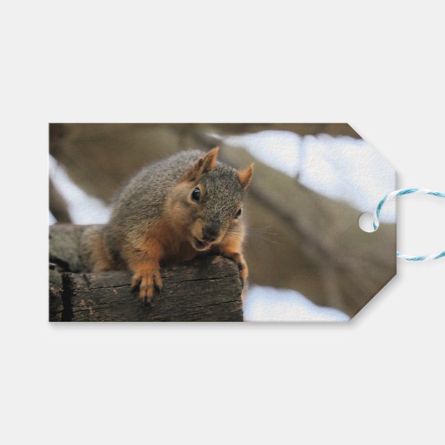 Etiqueta Para Presente Pfft (Frente (horizontal))