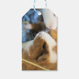 Etiqueta Para Presente Piggy