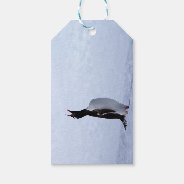 Etiqueta Para Presente Pinguim Gentoo (Verso)