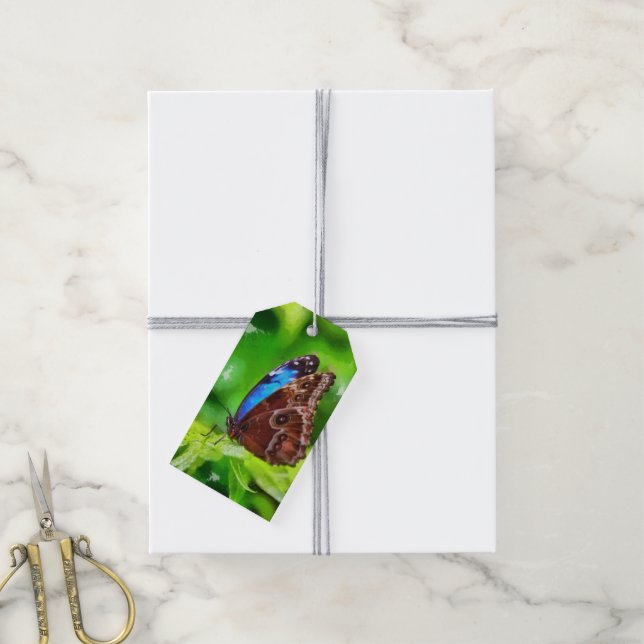 Etiqueta Para Presente Pintura da borboleta (Com cordão)