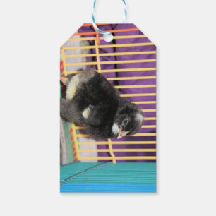 Etiqueta Para Presente Pista