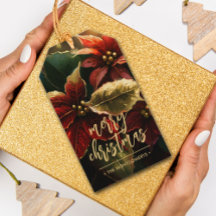 Poinsétias Feliz Natal Férias