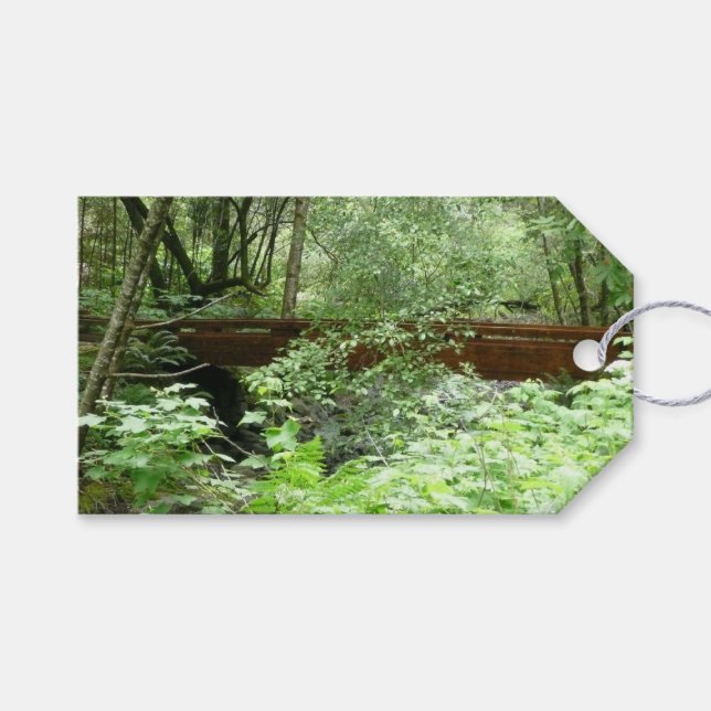 Etiqueta Para Presente Ponte Muir Woods I (Frente (horizontal))