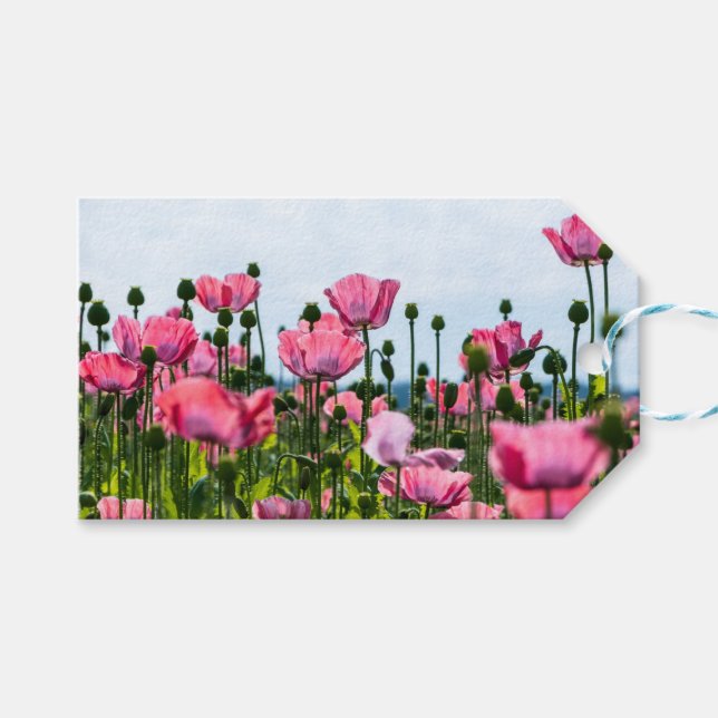 Etiqueta Para Presente Poppies Rosa (Frente (horizontal))