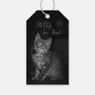 Etiqueta Para Presente Precioso Kitten Um presente para você Texto person