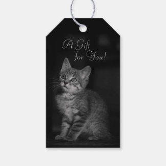 Etiqueta Para Presente Precioso Kitten Um presente para você Texto person