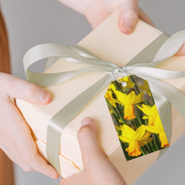 Etiqueta Para Presente Primavera Amarelo Daffodils Floral (In Situ)