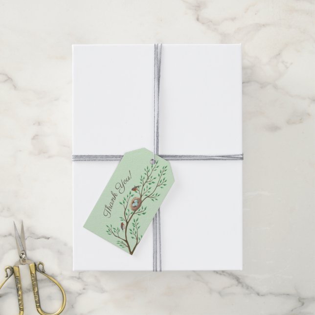 Etiqueta Para Presente Primavera de Chá de fraldas (Com cordão)