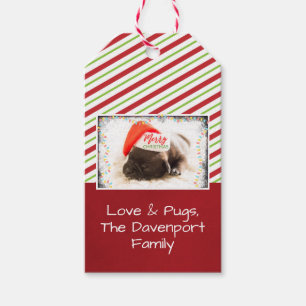 Etiqueta Para Presente Pug do Natal no chapéu do papai noel com luzes de