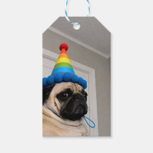 Etiqueta Para Presente Pug Mal-Humorado Usando Chapéu de Aniversário Arco
