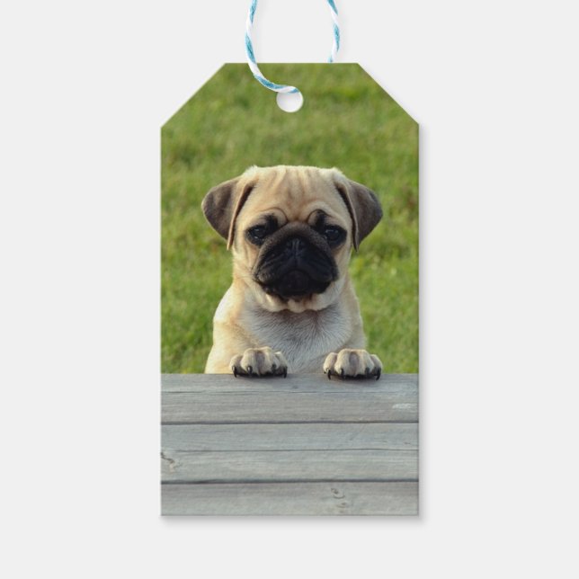 Etiqueta Para Presente Pug Pup (Frente)
