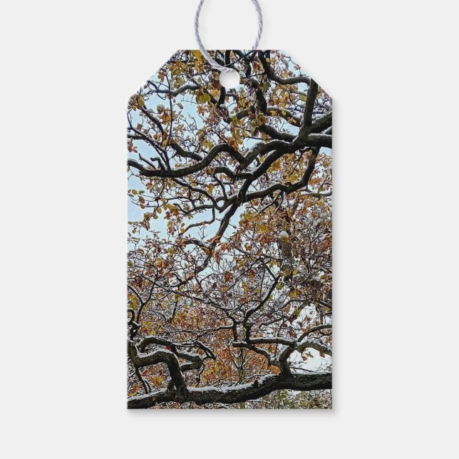 Etiqueta Para Presente Ramais, com folhas laranja e neve (Frente)