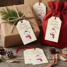 Rapariga Raposa Ártica com Chapéu de Papai Noel &