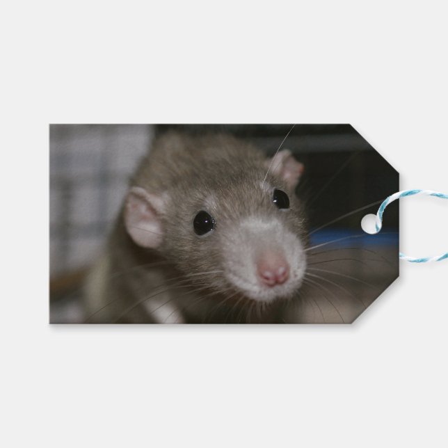 Etiqueta Para Presente Rato curioso (Frente (horizontal))