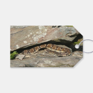 Etiqueta Para Presente Rattlesnake no Parque Nacional de Shenandoah