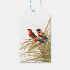 Etiqueta Para Presente Red Meadowlark