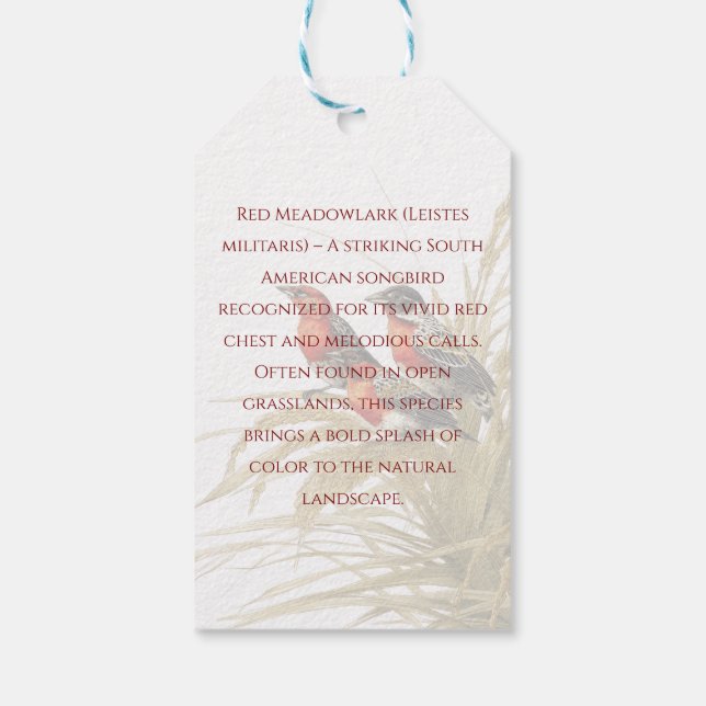 Etiqueta Para Presente Red Meadowlark (Verso)