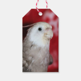 Etiqueta Para Presente Réplicas